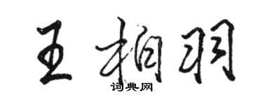 骆恒光王柏羽行书个性签名怎么写