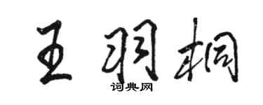 骆恒光王羽桐行书个性签名怎么写