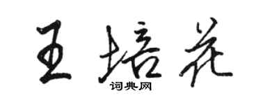 骆恒光王培花行书个性签名怎么写