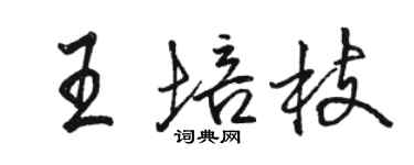 骆恒光王培枝行书个性签名怎么写
