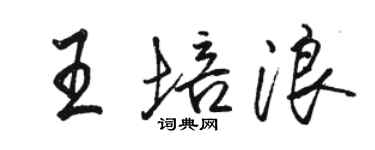 骆恒光王培浪行书个性签名怎么写