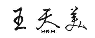 骆恒光王天美行书个性签名怎么写