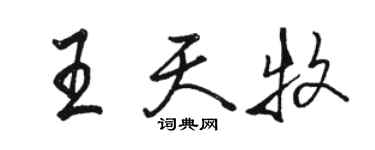 骆恒光王天牧行书个性签名怎么写