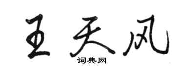 骆恒光王天风行书个性签名怎么写
