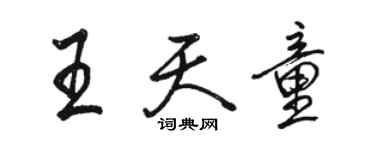 骆恒光王天童行书个性签名怎么写