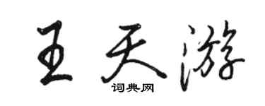 骆恒光王天游行书个性签名怎么写