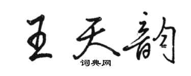 骆恒光王天韵行书个性签名怎么写