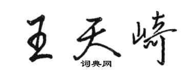 骆恒光王天崎行书个性签名怎么写