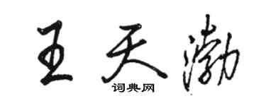 骆恒光王天渤行书个性签名怎么写