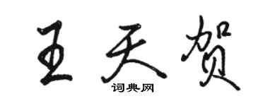 骆恒光王天贺行书个性签名怎么写
