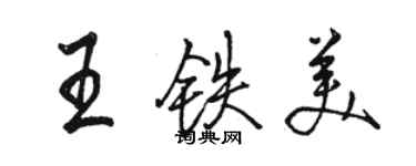 骆恒光王铁美行书个性签名怎么写
