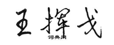 骆恒光王挥戈行书个性签名怎么写