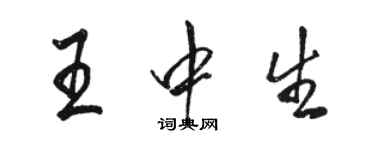 骆恒光王中生行书个性签名怎么写