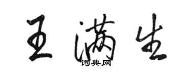 骆恒光王满生行书个性签名怎么写