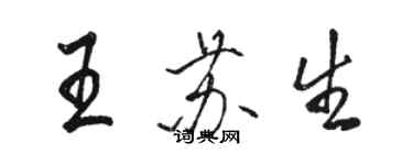 骆恒光王苏生行书个性签名怎么写