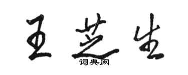 骆恒光王芝生行书个性签名怎么写