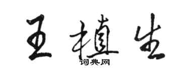 骆恒光王植生行书个性签名怎么写