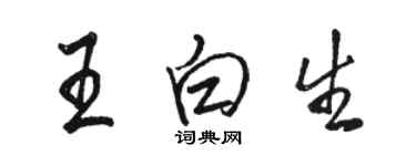骆恒光王白生行书个性签名怎么写