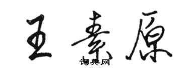 骆恒光王素原行书个性签名怎么写