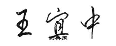骆恒光王宜中行书个性签名怎么写