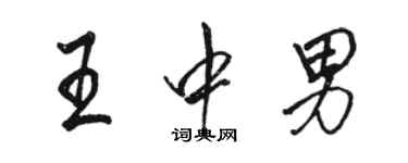 骆恒光王中男行书个性签名怎么写