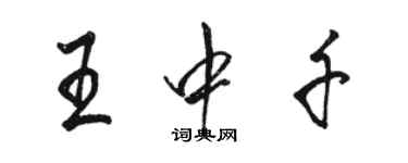 骆恒光王中千行书个性签名怎么写