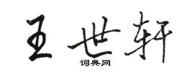 骆恒光王世轩行书个性签名怎么写