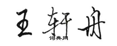 骆恒光王轩舟行书个性签名怎么写