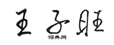 骆恒光王子旺行书个性签名怎么写