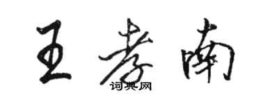 骆恒光王孝南行书个性签名怎么写