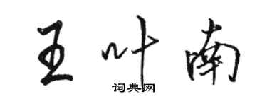 骆恒光王叶南行书个性签名怎么写