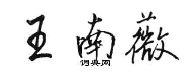 骆恒光王南薇行书个性签名怎么写