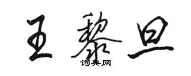骆恒光王黎旦行书个性签名怎么写