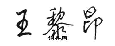 骆恒光王黎昂行书个性签名怎么写
