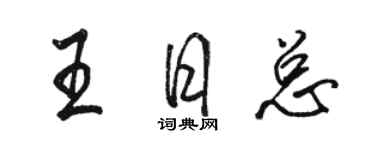 骆恒光王日总行书个性签名怎么写