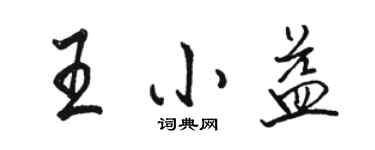 骆恒光王小益行书个性签名怎么写