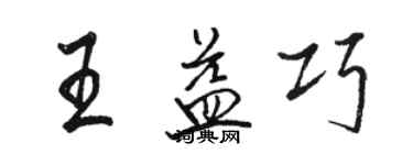 骆恒光王益巧行书个性签名怎么写