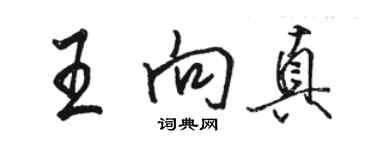 骆恒光王向真行书个性签名怎么写