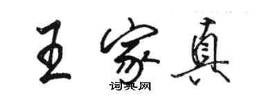 骆恒光王家真行书个性签名怎么写