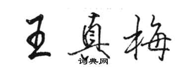骆恒光王真梅行书个性签名怎么写