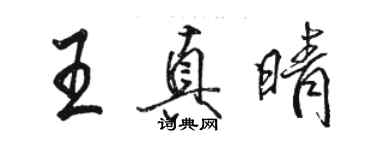 骆恒光王真晴行书个性签名怎么写
