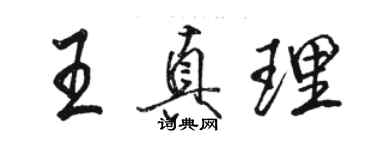 骆恒光王真理行书个性签名怎么写