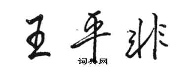 骆恒光王平非行书个性签名怎么写