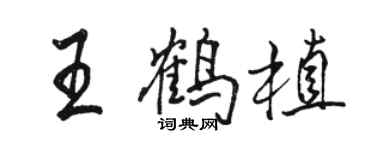 骆恒光王鹤植行书个性签名怎么写