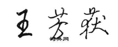 骆恒光王芳获行书个性签名怎么写