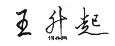 骆恒光王升起行书个性签名怎么写