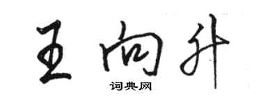 骆恒光王向升行书个性签名怎么写