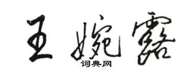 骆恒光王婉露行书个性签名怎么写