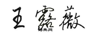 骆恒光王露薇行书个性签名怎么写