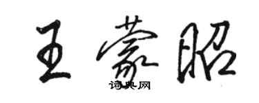 骆恒光王蒙昭行书个性签名怎么写